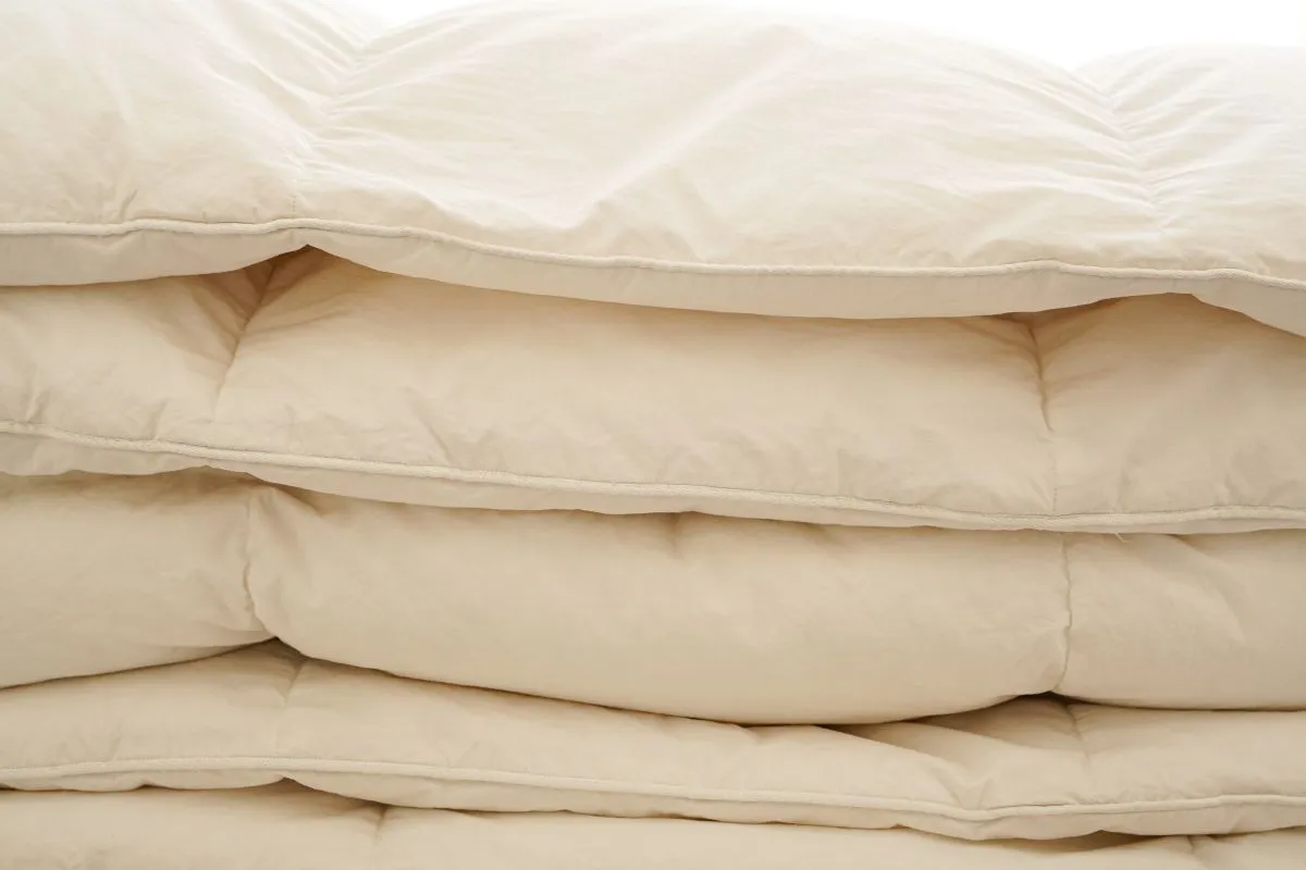 こんな時はコインランドリーより布団クリーニングがおすすめ